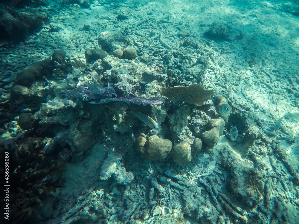 Fototapeta premium DCIM\100GOPRO\GOPR3380.