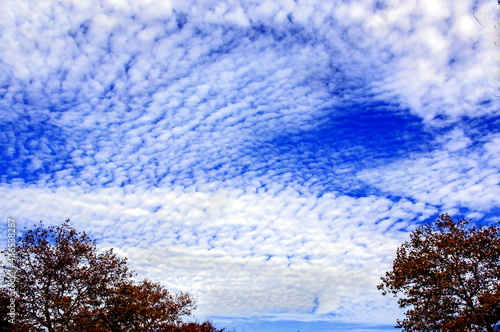 Cirrocumulus clouds and blue sky.