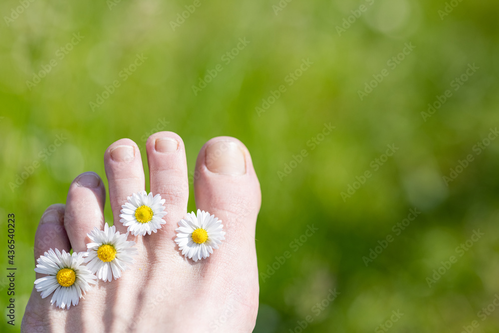 Foot of a woman with daisies between her toes Foot of a woman with daisies between her toes