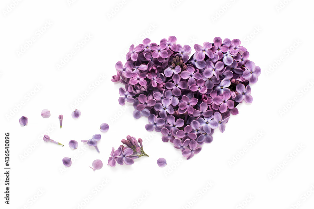the heart is cut from a sheet of white paper and filled with purple lilac flowers. happy valentine's day greeting card. a declaration of love. a wedding invitation. international Women's Day the heart is cut from a sheet of white paper and filled with purple lilac flowers. happy valentine's day greeting card. a declaration of love. a wedding invitation. international Women's Day