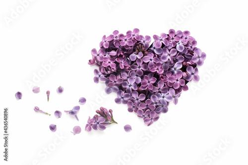 the heart is cut from a sheet of white paper and filled with purple  lilac flowers. happy valentine's day greeting card. a declaration of love. a wedding invitation. international Women's Day