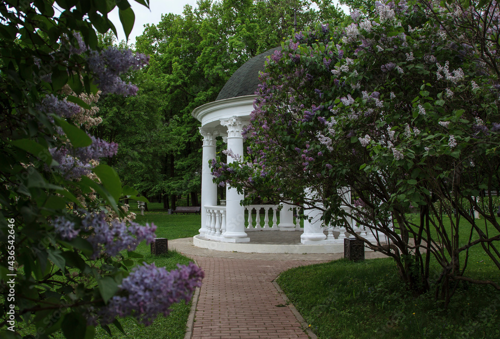 Gazebo in the Catherine Park. Moscow Gazebo in the Catherine Park. Moscow