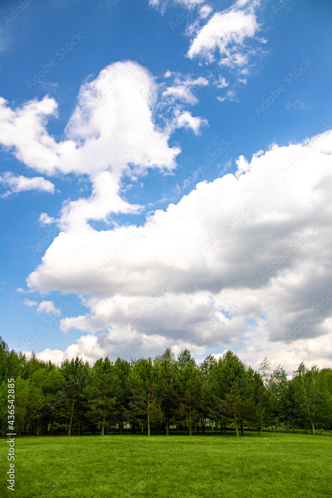 Landscape of green grass, forest and cloudy sky background, vertical copy space Landscape of green grass, forest and cloudy sky background, vertical copy space