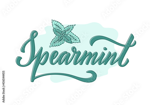 Vector illustration of spearmint lettering for packages, product design, banner, spice shop  price lists. Handwritten word with leaves for web or print
