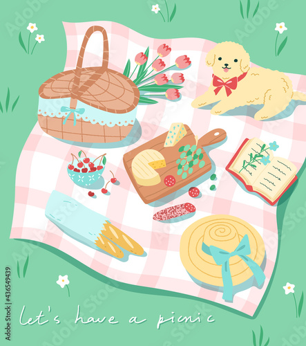 Vector illustration of a summer picnic concept in modern cartoon style. Outdoor lunch of a cheese platter, fruit and baguette. Relaxing picnic time with a dog, nice meal and nice weather.