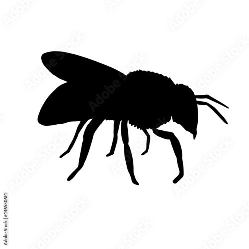 Vector hand drawn bee silhouette isolated on white background