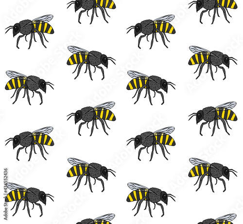 Vector seamless pattern of colored hand drawn doodle sketch bee isolated on white background © Sweta