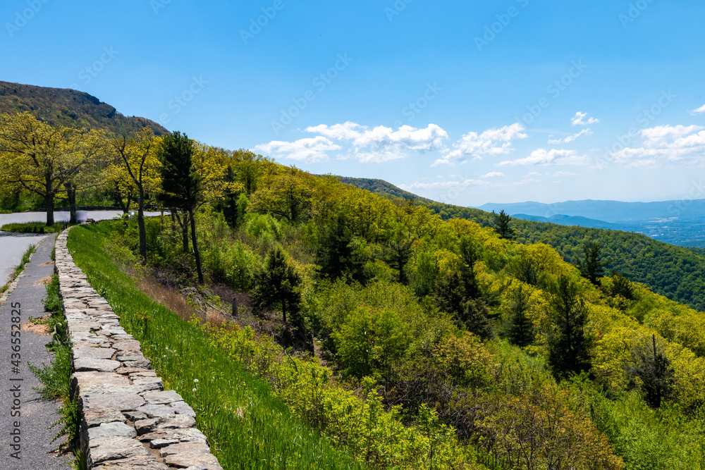 Spring Time in Shenandoah National Park Spring Time in Shenandoah National Park