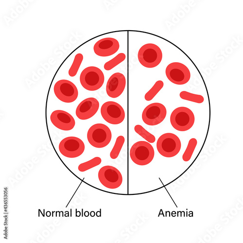 Blood structure concept
