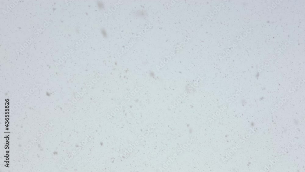 Snowflakes background. Heavy Falling snow on white sky background close up. Merry Christmas or happy New year background. 4k resolution Snowflakes background. Heavy Falling snow on white sky background close up. Merry Christmas or happy New year background. 4k resolution