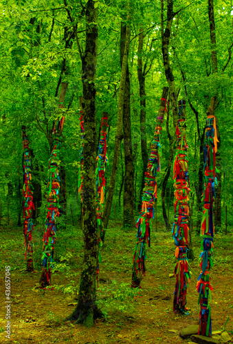 Fototapeta Naklejka Na Ścianę i Meble -  totems in forest