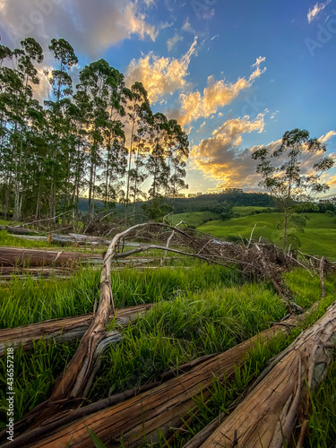 landscape in the mountains