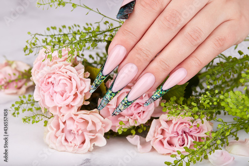 Hand with long artificial green french manicured nails and pink rose flowers. Fashion and stylish manicure.