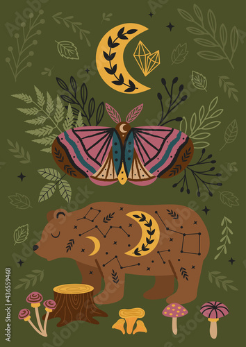 magic forest poster with moth and bear