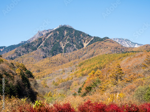 Fall foliage in Yatsugatake Mountains in autumn - Yamanashi prefecture, Japan photo