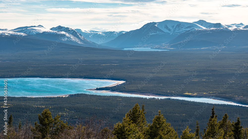 High scenic viewpoint above Tagish in northern Canada during spring time with beautiful blue river and snow capped mountains across Yukon Territory landscape. 