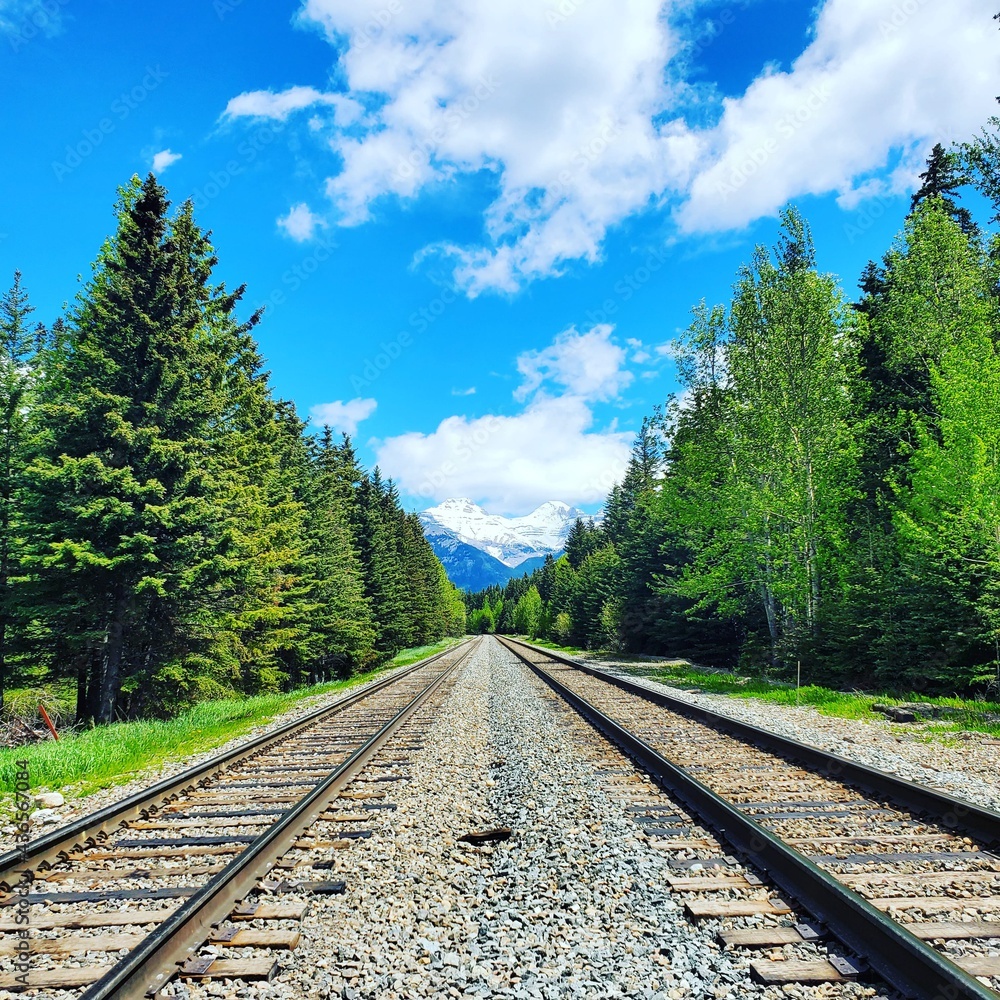 Obraz premium railway in the mountains
