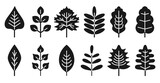 Set black silhouettes leaf isolated on white background. Realistic autumn leaves with white streaks. Simple flat style, vector illustration for scrapbooking, notebook, dishes.Simple glyph