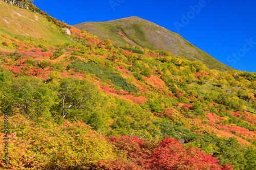 大雪山国立公園高原温泉沼めぐりコースの紅葉