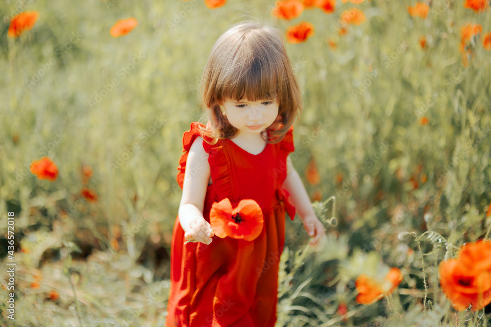 Happy Toddler Girl Playing in a Field of Poppies Happy Toddler Girl Playing in a Field of Poppies