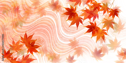 紅葉　もみじ　和紙　背景