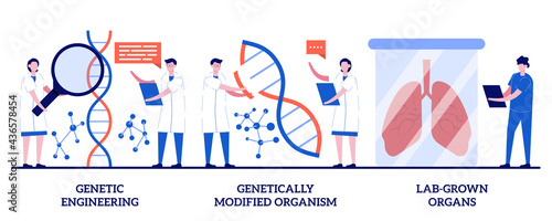 Genetic engineering, genetically modified organism, lab-grown organs concept with tiny people. Bioengineering abstract vector illustration set. DNA manipulation, stem cells, transplantation metaphor