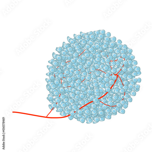 Cancer tumor cells with blood vessels vector illustration