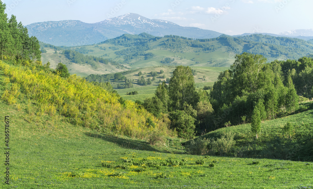 View of mountains in early summer, greenery of forests and meadows View of mountains in early summer, greenery of forests and meadows