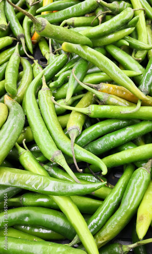 Green chilies on the top in the market Green chilies on the top in the market