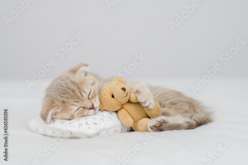 Cute kitten sleeps with toy bear on pillow ona bed at home