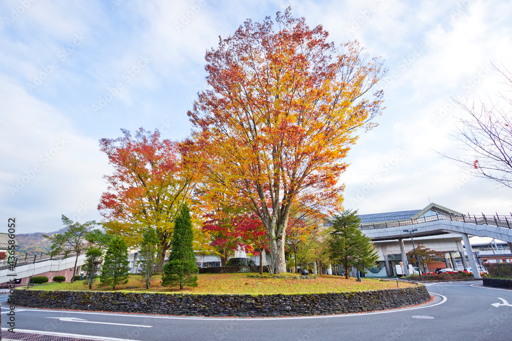 Karuizawa is located along Japan's Romantic Road, and nice autumn colors typically around mid October to early November each year. Karuizawa is located along Japan's Romantic Road, and nice autumn colors typically around mid October to early November each year.