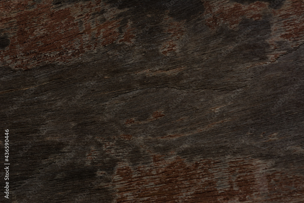 Fototapeta premium Abstract bark texture. Wooden grain background.