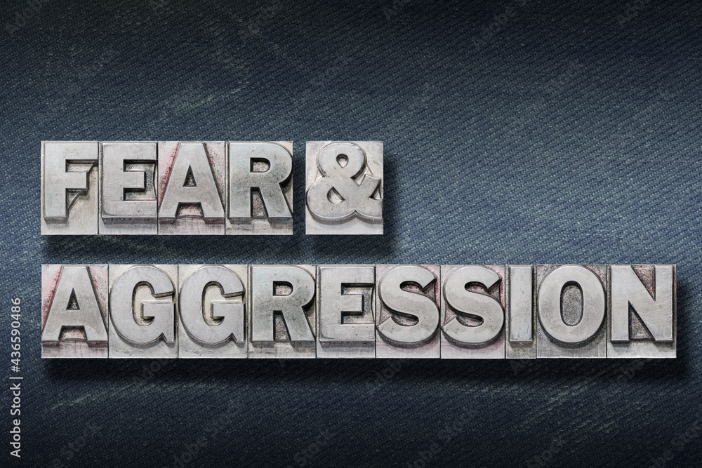 Naklejka premium fear and aggression den