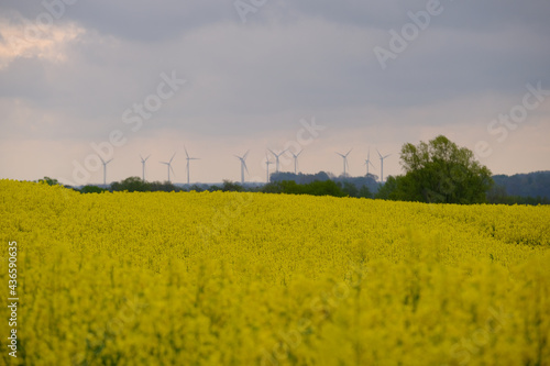 Nachwachsende Rohstoffe und Windenergieanlagen