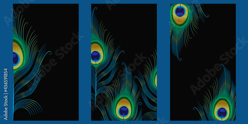 set of templates for stories with peacock feathers