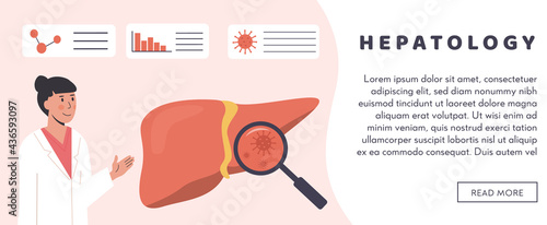 Web banner template. Gastroenterology or Hepatology Hospital. Liver Organ with magnifying glass Hepatic Bacteria. Hepatitis Cure. Researcher studying liver. Consulting doctor. Flat Vector Illustration
