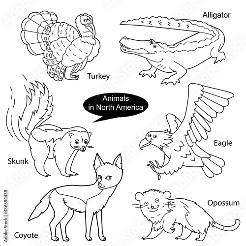 Set with funny cute animals living in North America.  Objects isolated on white background. Linear,  black and white  version. Illustration can be used for coloring book and pictures for children