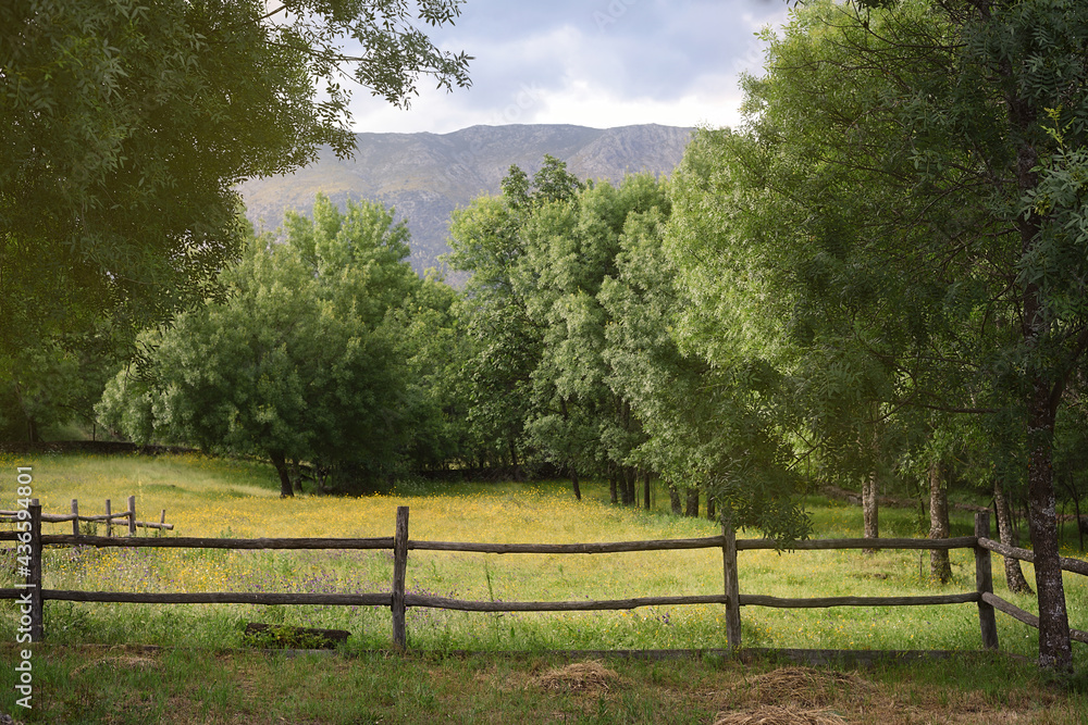 Rural landscape of farm in the nature in spring with wooden fence Rural landscape of farm in the nature in spring with wooden fence