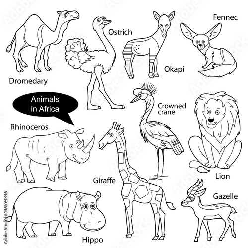 Set with funny cute animals living  in Africa. Objects isolated on white background. Linear, contour, black and white  version. Illustration can be used for coloring book and pictures for children