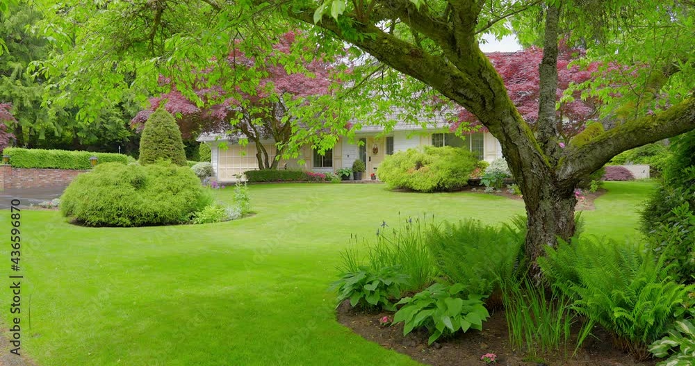 Establishing shot of two story stucco luxury house with garage door, big tree and nice landscape in Vancouver, Canada, North America. Day time on May 2021. ProRes 422 HQ. Establishing shot of two story stucco luxury house with garage door, big tree and nice landscape in Vancouver, Canada, North America. Day time on May 2021. ProRes 422 HQ.