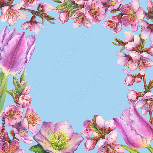 Floral square frame with pink sakura flower, hellebore, tulip for decoration, greeting card, invitation. Watercolor hand drawn painting illustration isolated on a blue background.