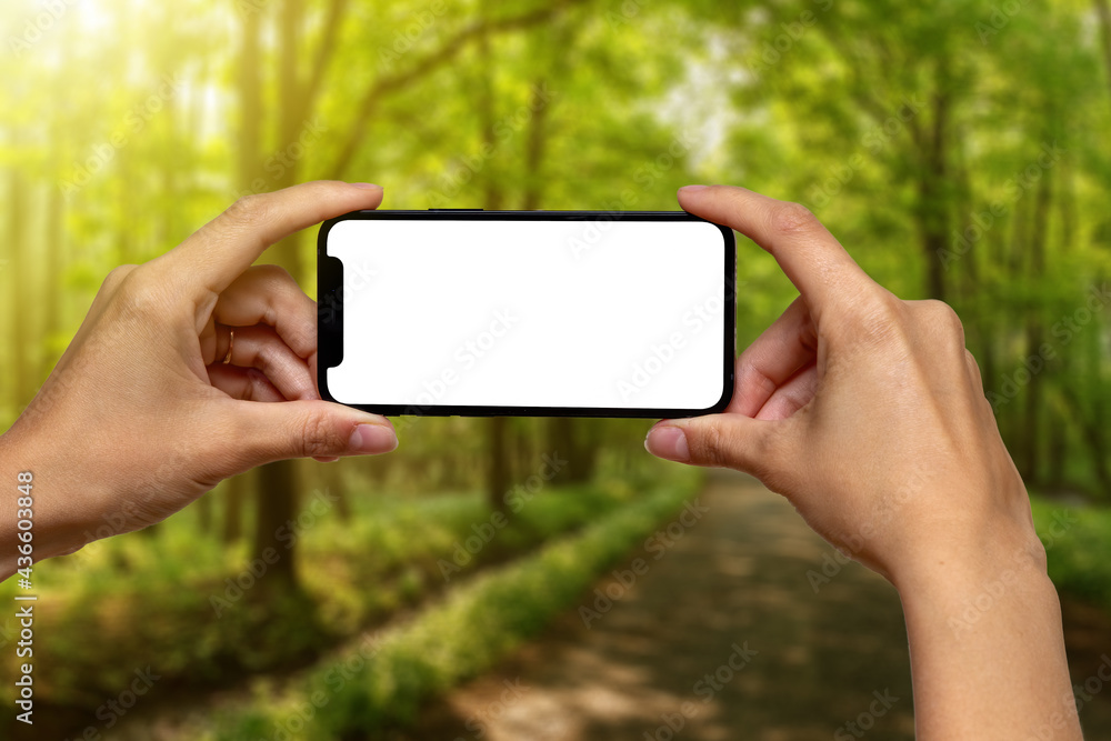 Hands holding phone white white screen on front of forest. Human taking shot of sunny woodland nature. Person showing smartphone in wilderness with sunlight.