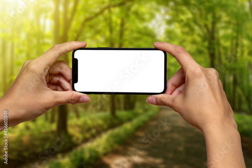 Obraz na płótnie Hands holding phone white white screen on front of forest. Human taking shot of sunny woodland nature. Person showing smartphone in wilderness with sunlight. w salonie