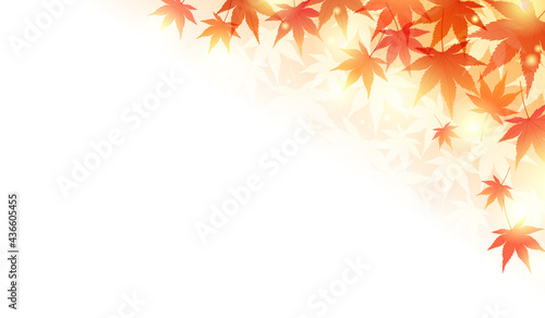 秋の紅葉と光の美しいベクターイラストフレーム背景