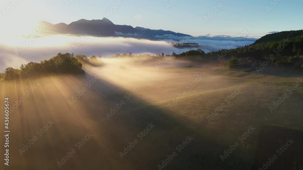 Foggy morning in the forest and landscape on a beautiful spring morning in the countryside. Foggy morning in the forest and landscape on a beautiful spring morning in the countryside.