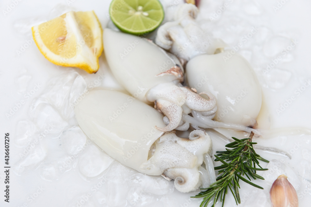Seafood squid on ice for cooking food in the restaurant, Fresh raw octopus cuttlefish ocean gourmet with lemon and rosemary on white plate Seafood squid on ice for cooking food in the restaurant, Fresh raw octopus cuttlefish ocean gourmet with lemon and rosemary on white plate