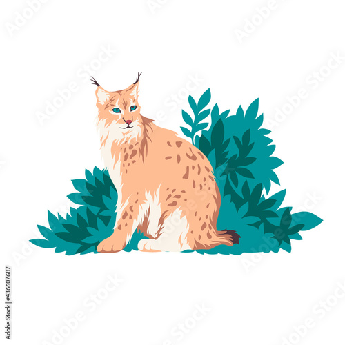 Asian lynx isolated vector illustration. Big eurasian cat sitting in bushes design element. Wildlife Asian animal in realistic style.