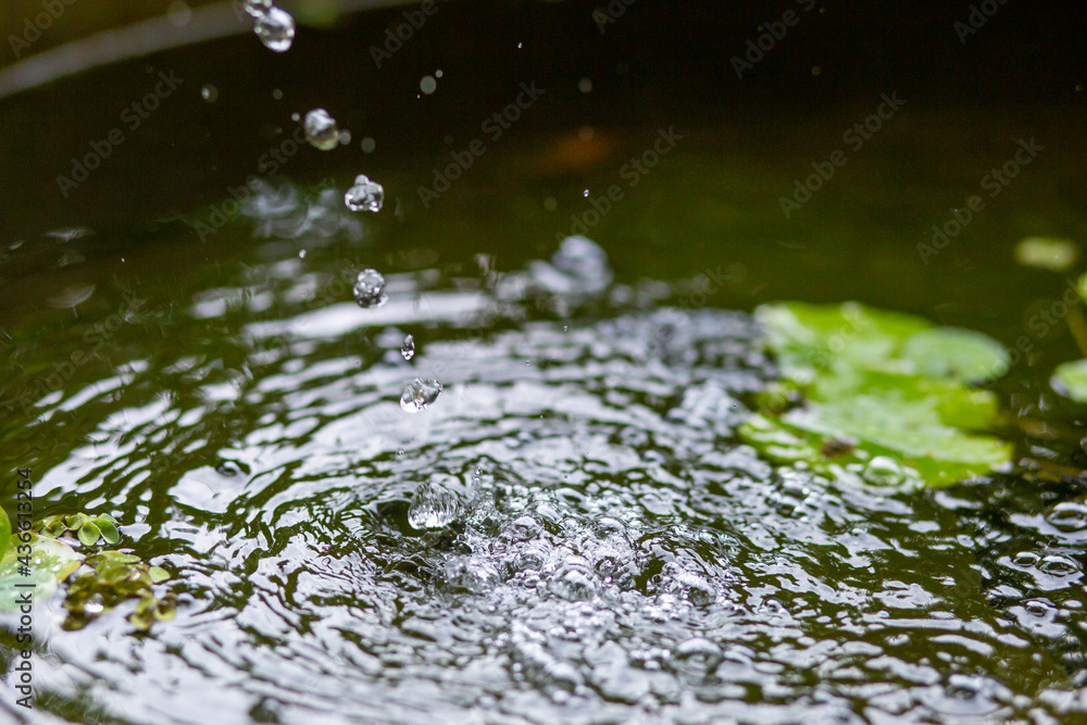 Air bubbles on the water surface in the fish pond from filling with