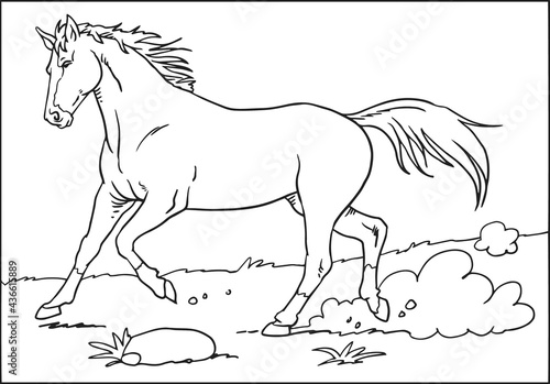 a sketch of a horse
