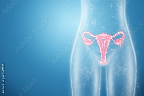Obraz na płótnie Hologram of the female organ of the uterus, diseases of the uterus and ovaries, menstrual pain